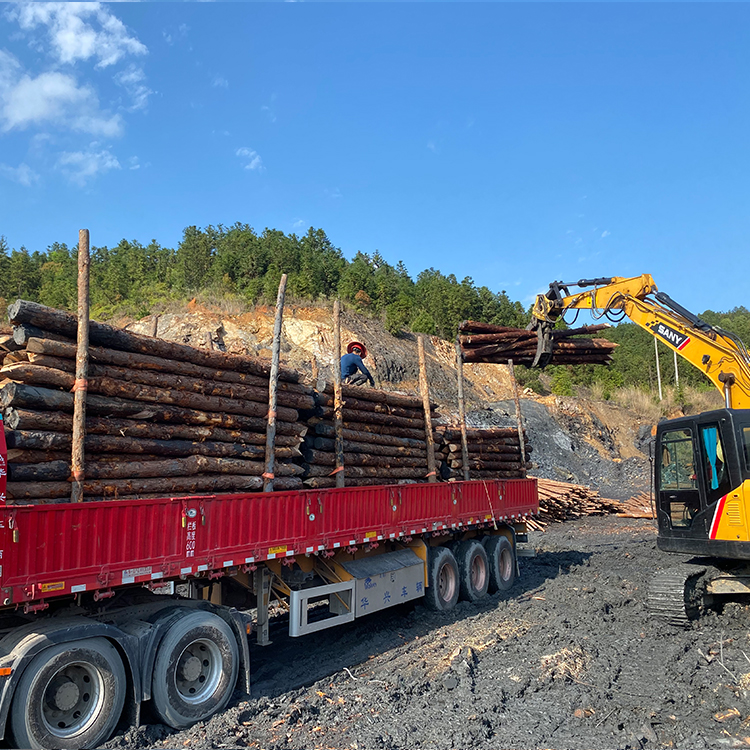 防洪防汛用的松木樁/杉木樁哪里有賣？