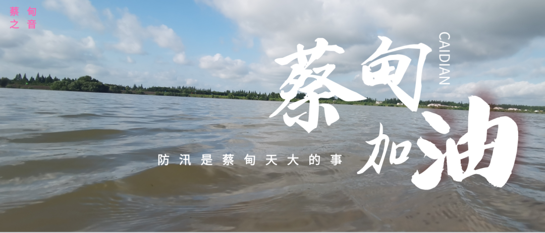 蔡甸區(qū)啟動防汛ⅰ級應(yīng)急響應(yīng)，做好鋪土釘防汛木樁工作