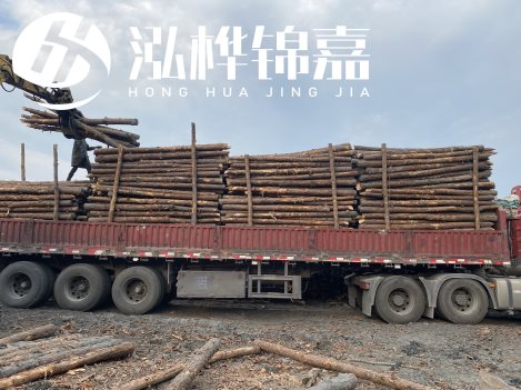 打樁木材為何首選松木？松木樁應(yīng)該怎么打樁施工