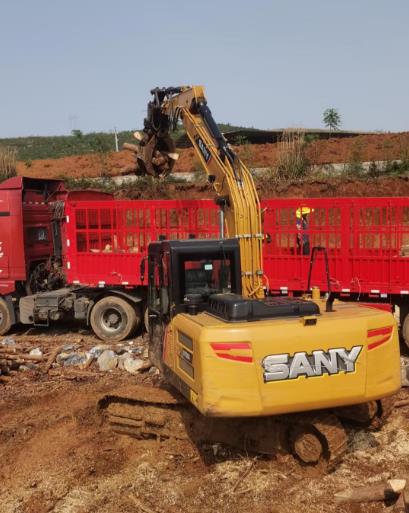 <a href=http://cxxapkg.cn/ target=_blank class=infotextkey>松木樁</a>原木