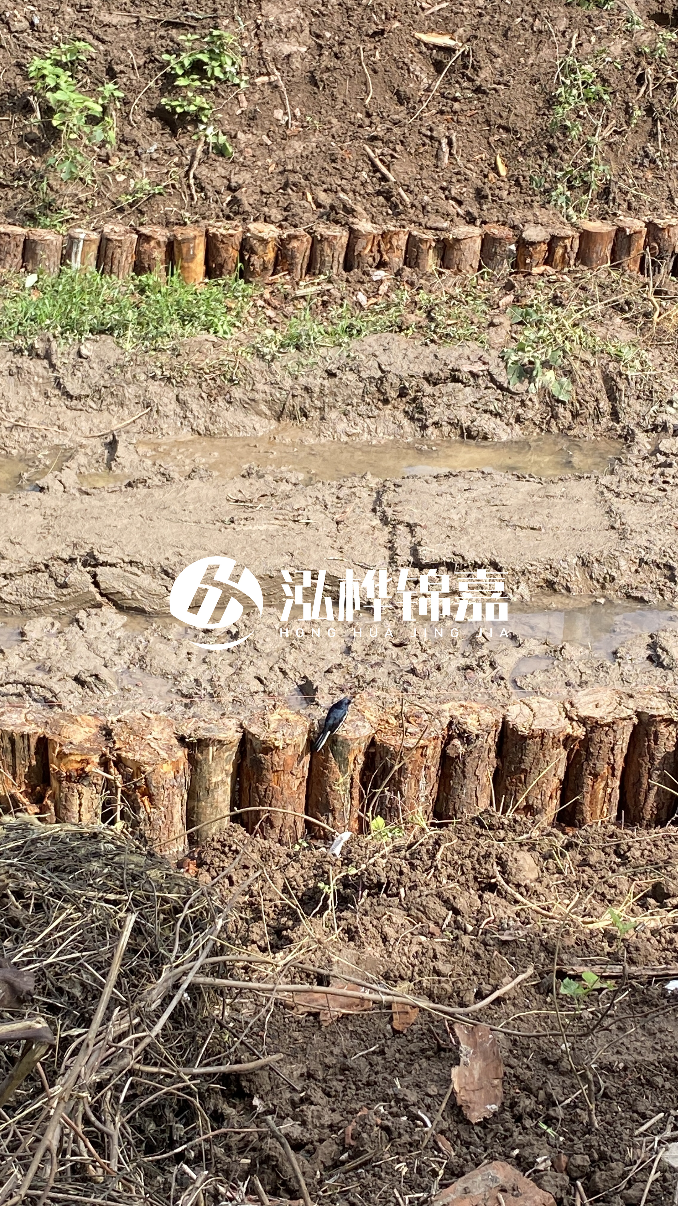 寧波河道清淤專業(yè)施工-治理河道對于老百姓有什么意義？