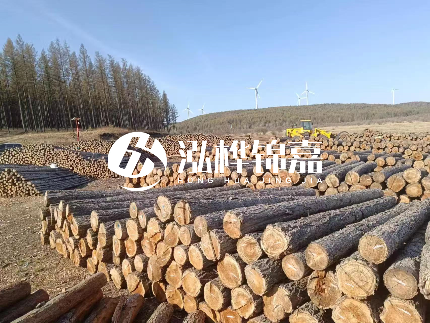 湘潭松木樁源頭廠家-松木樁與水泥樁的性價比對比如何？