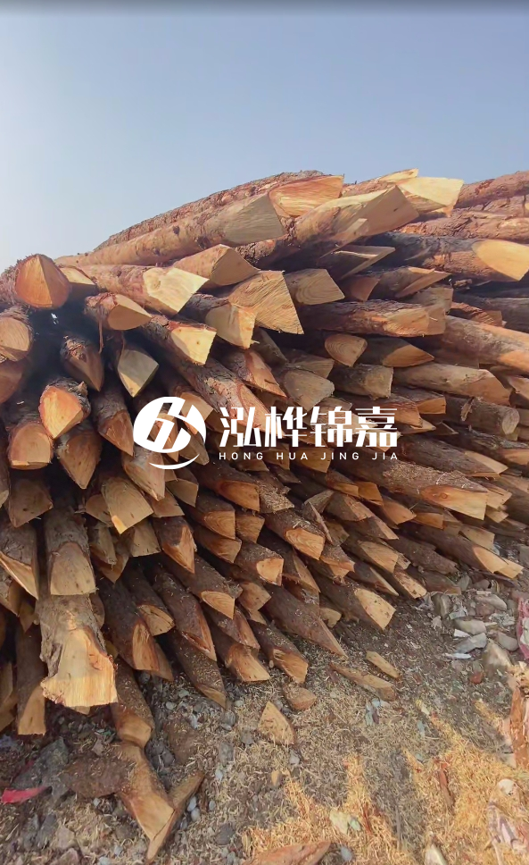 成都松木樁源頭廠家-松木樁價(jià)格5米多少錢？