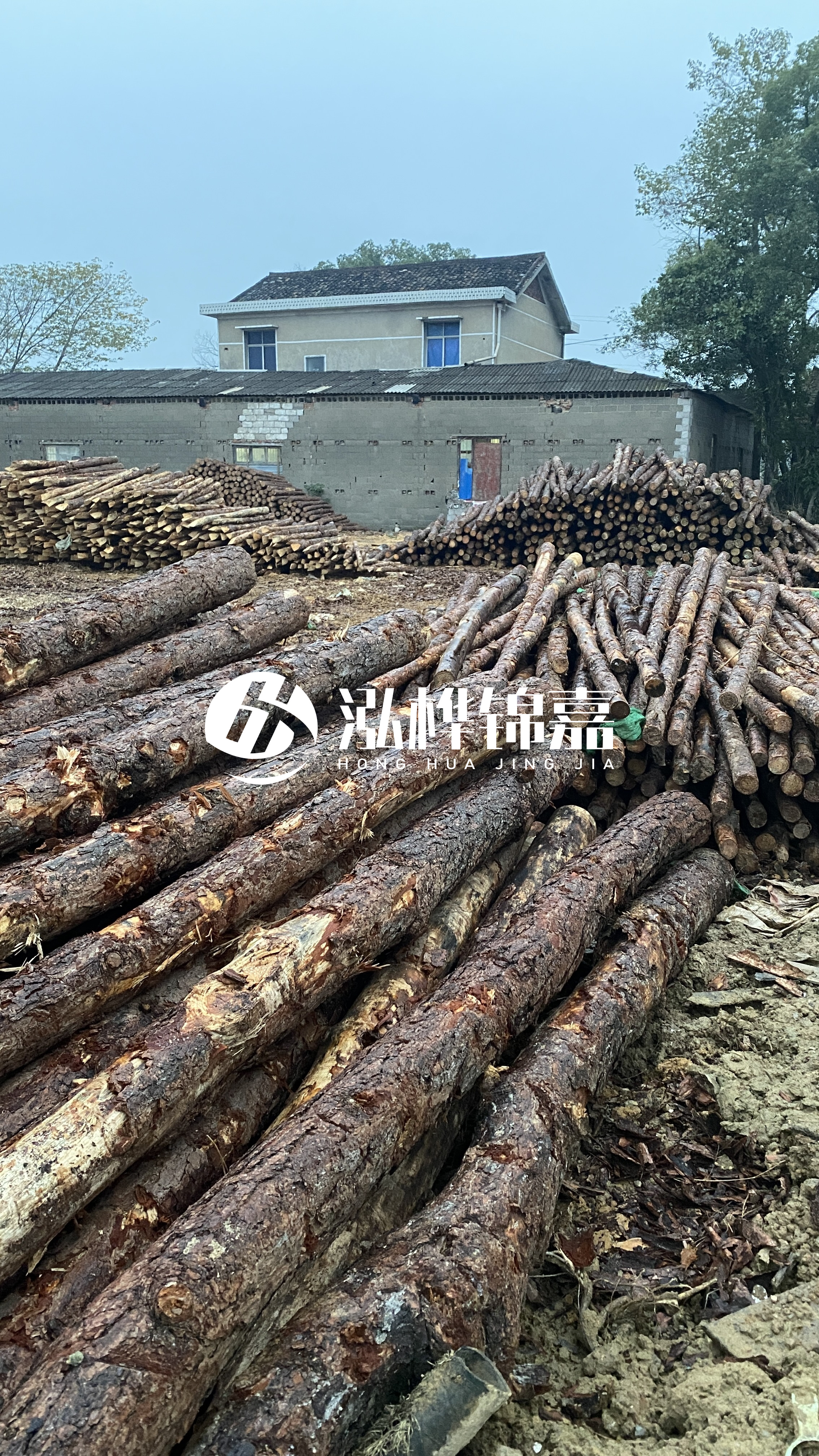 資陽松木樁源頭廠家-工地松木樁的采購渠道有哪些？