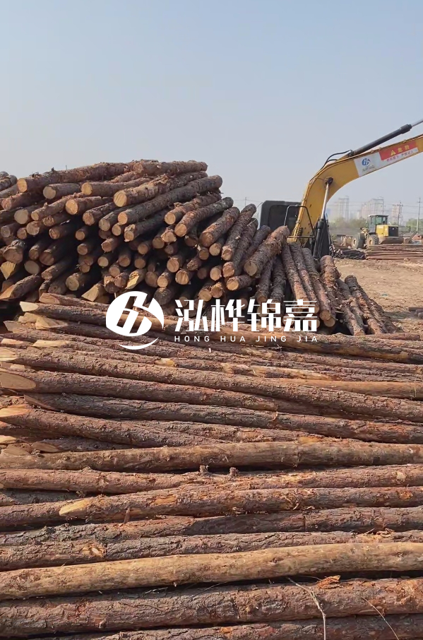 油松用于打樁木到底好不好？讓專業(yè)打樁隊(duì)告訴你！