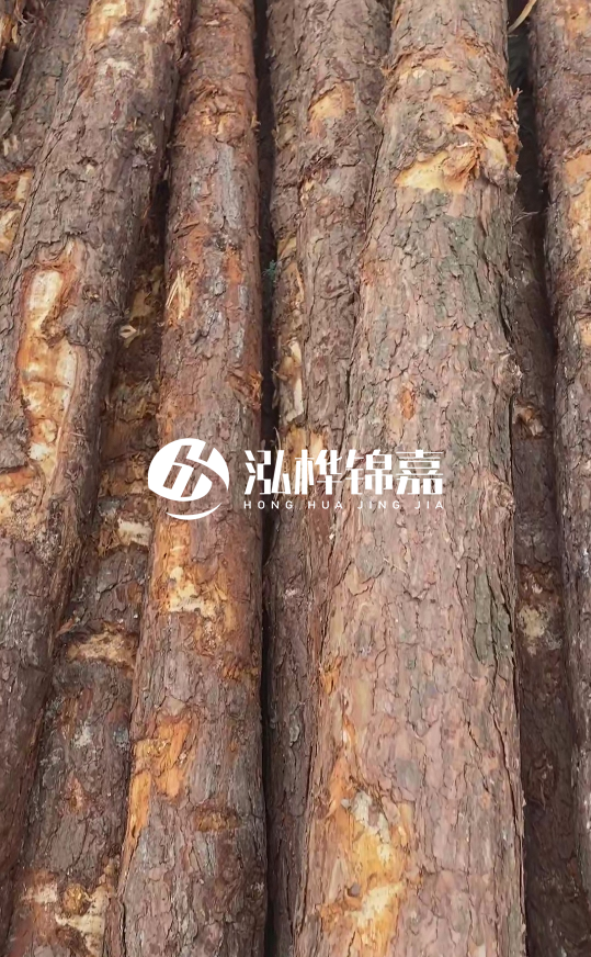 浙江地區(qū)大量供應(yīng)松木樁，源頭廠家在哪里？