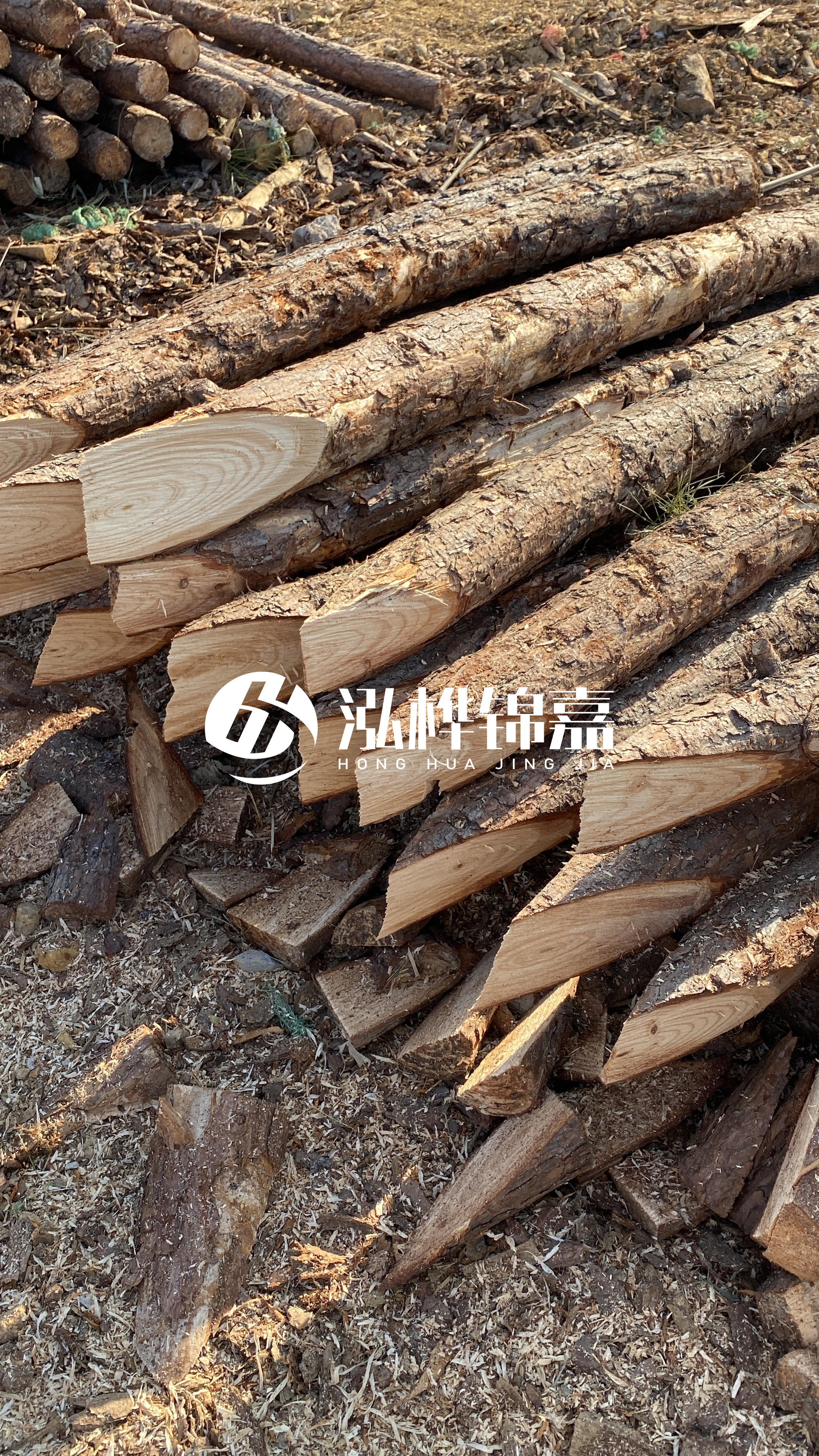 4米小頭直徑10-12公分松木樁價格揭秘：究竟多少錢一根？快來了解！