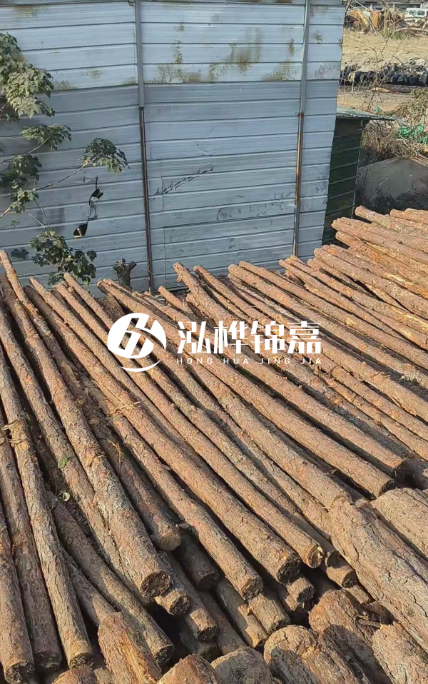 4米松木樁一根有多重？看完你就心中有數啦！