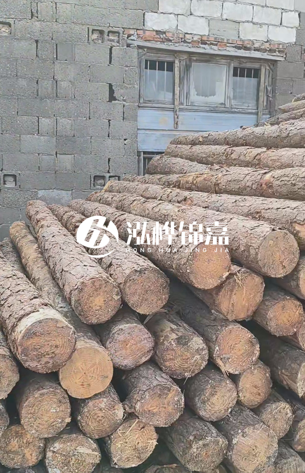 3米松木樁多少錢一根？14公分松木樁價(jià)格是多少？