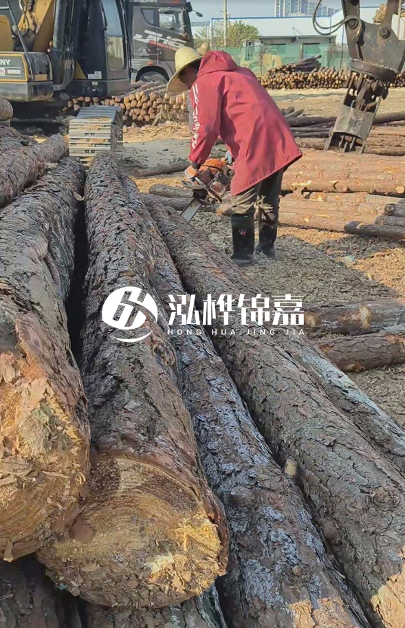 長沙打樁木批發(fā)廠家在哪里？聯(lián)系方式是什么？