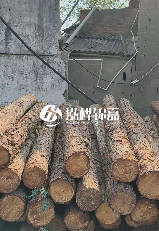 1.5米至2米長松木樁價格表-10-12公分大概多少錢一根？