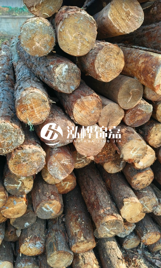 油松3米12公分多少錢(qián)一根？油松4米12公分多少錢(qián)一根？