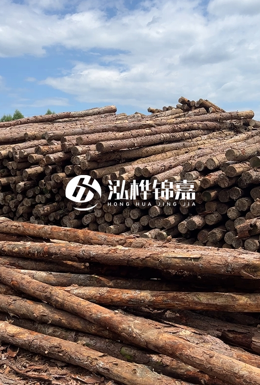 松木打樁木的價(jià)格波動(dòng)受哪些因素影響？杉木樁能代替松木樁嗎？