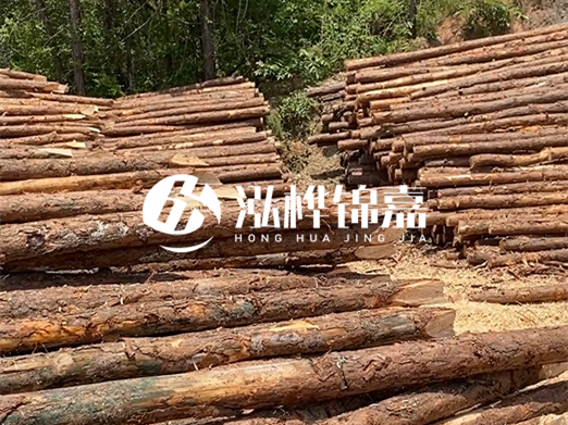 松木樁的運(yùn)輸費(fèi)用是否包含卸車費(fèi)？卸貨時(shí)需要注意哪些安全問題？