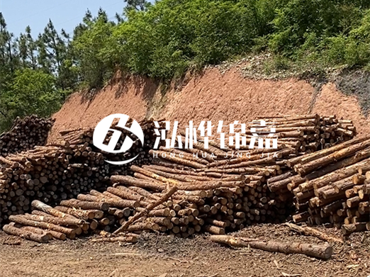 油松打樁木和落葉松打樁木的價格差異是多少？哪個性價比更高？