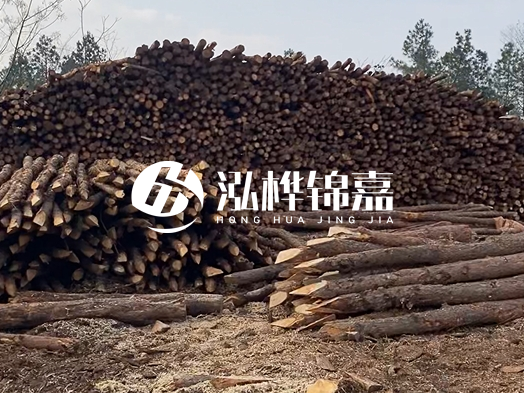 地基打木樁用什么木材 - 地基打木樁的能撐幾年？