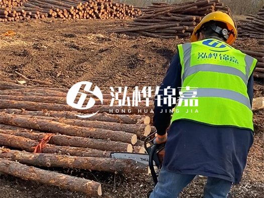 哪些木樁廠家能提供快速定制服務(wù)？哪些木樁廠家在國內(nèi)有多個生產(chǎn)基地？