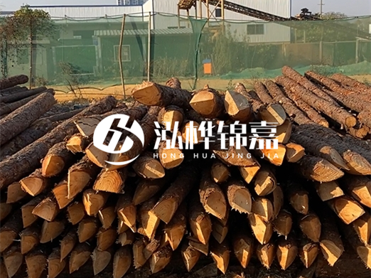 松木樁6米15cm打樁多少錢一根-專業(yè)打木樁隊聯(lián)系電話？