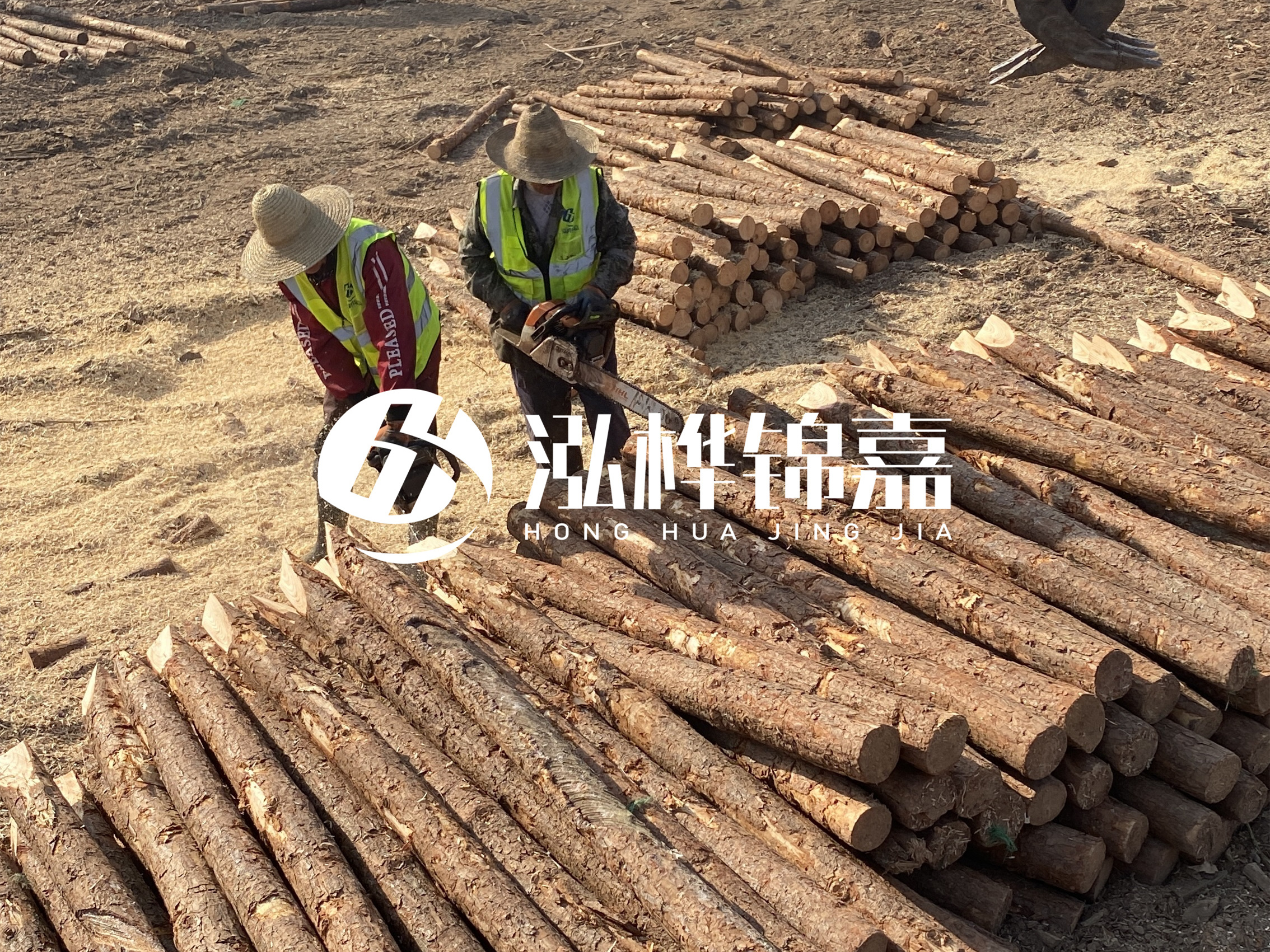 河北打樁木廠家主要生產(chǎn)哪些材質(zhì)的打樁木？產(chǎn)品有哪些規(guī)格？