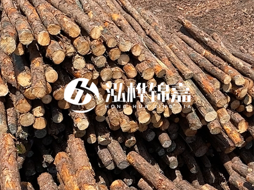 江西有哪些松木樁生產廠家？松木樁廠在什么位置？