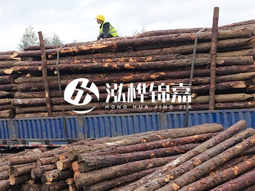 2 米大頭 12 公分松木樁價格 - 2 米大頭 14 公分松木樁多少錢一根？