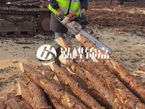 松木樁河道護坡怎么施工？打樁多少錢一根？