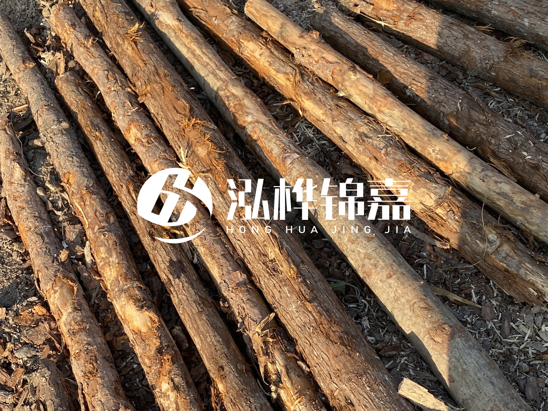 河道木樁多少錢一根？河道木樁的使用以及保養(yǎng)方法?