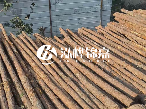 松木樁打樁后清淤怎么處理？有沒有全包的公司？