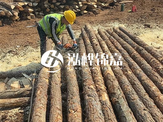 松木樁批發(fā)廠家泓樺錦嘉-河道打樁木施工中怎么防止樁頭被打壞？