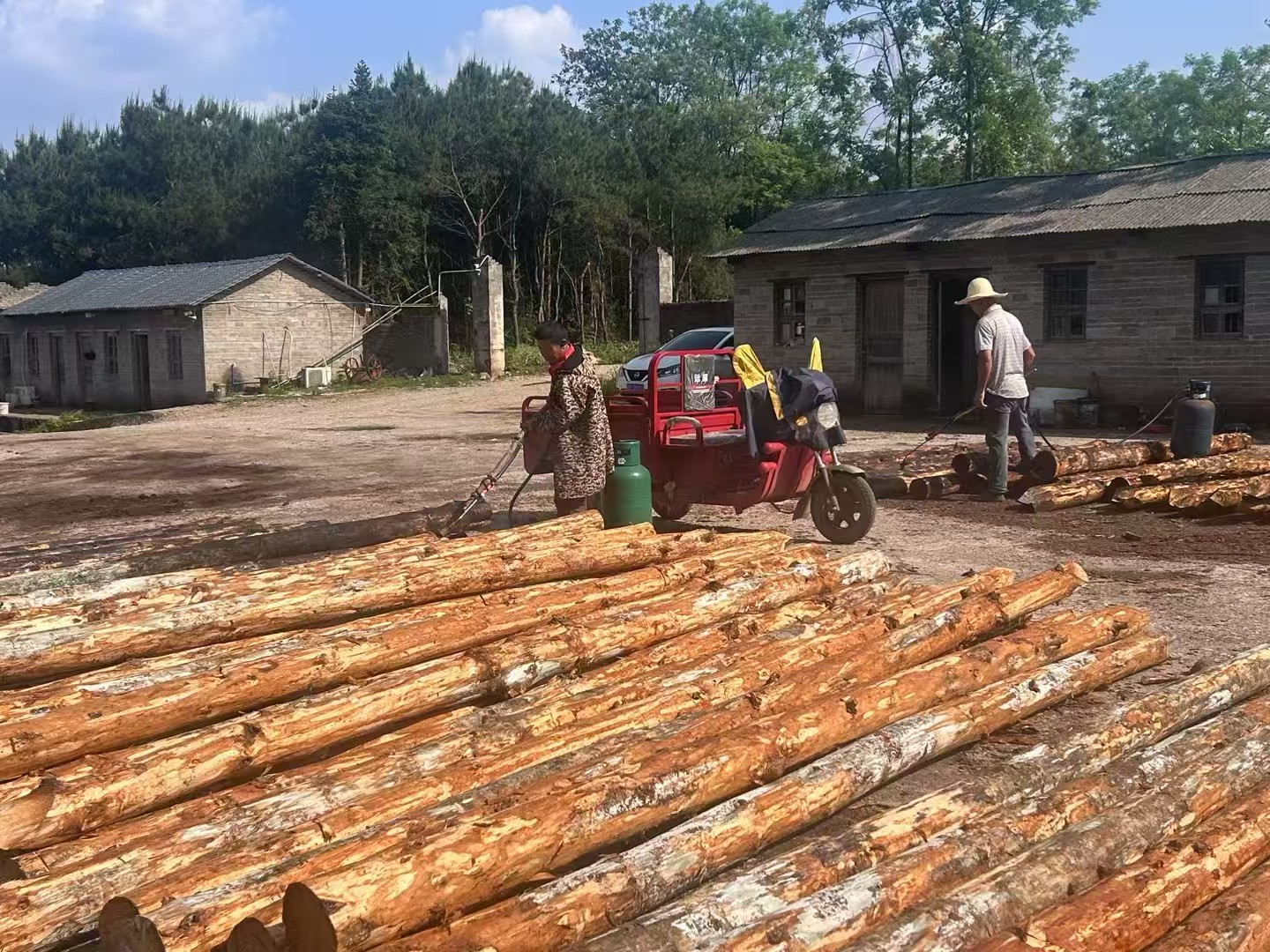 松木樁批發(fā)廠家泓樺錦嘉-圍堰松木樁為什么要交錯(cuò)排列？