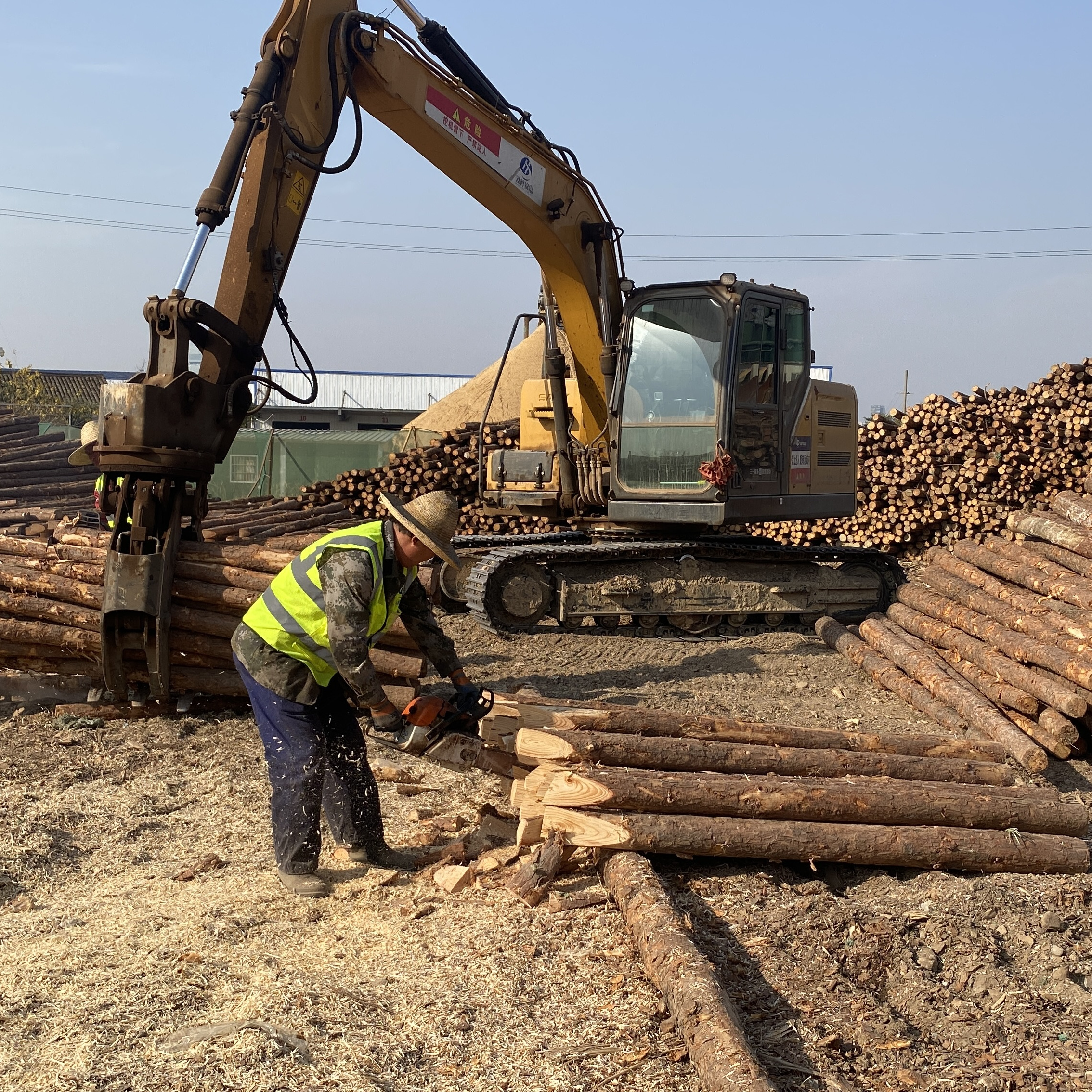 松木樁廠家泓樺錦嘉-工程打樁木選擇落葉松還是濕地松更耐腐蝕？