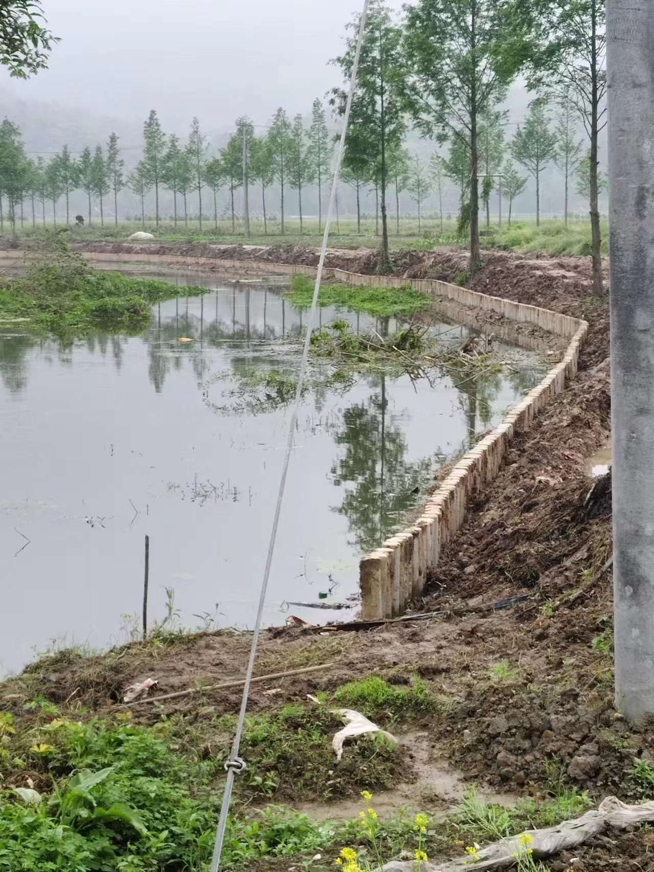 水泥仿木樁施工隊(duì)泓樺錦嘉 - 仿木樁施工多少錢(qián)一米？