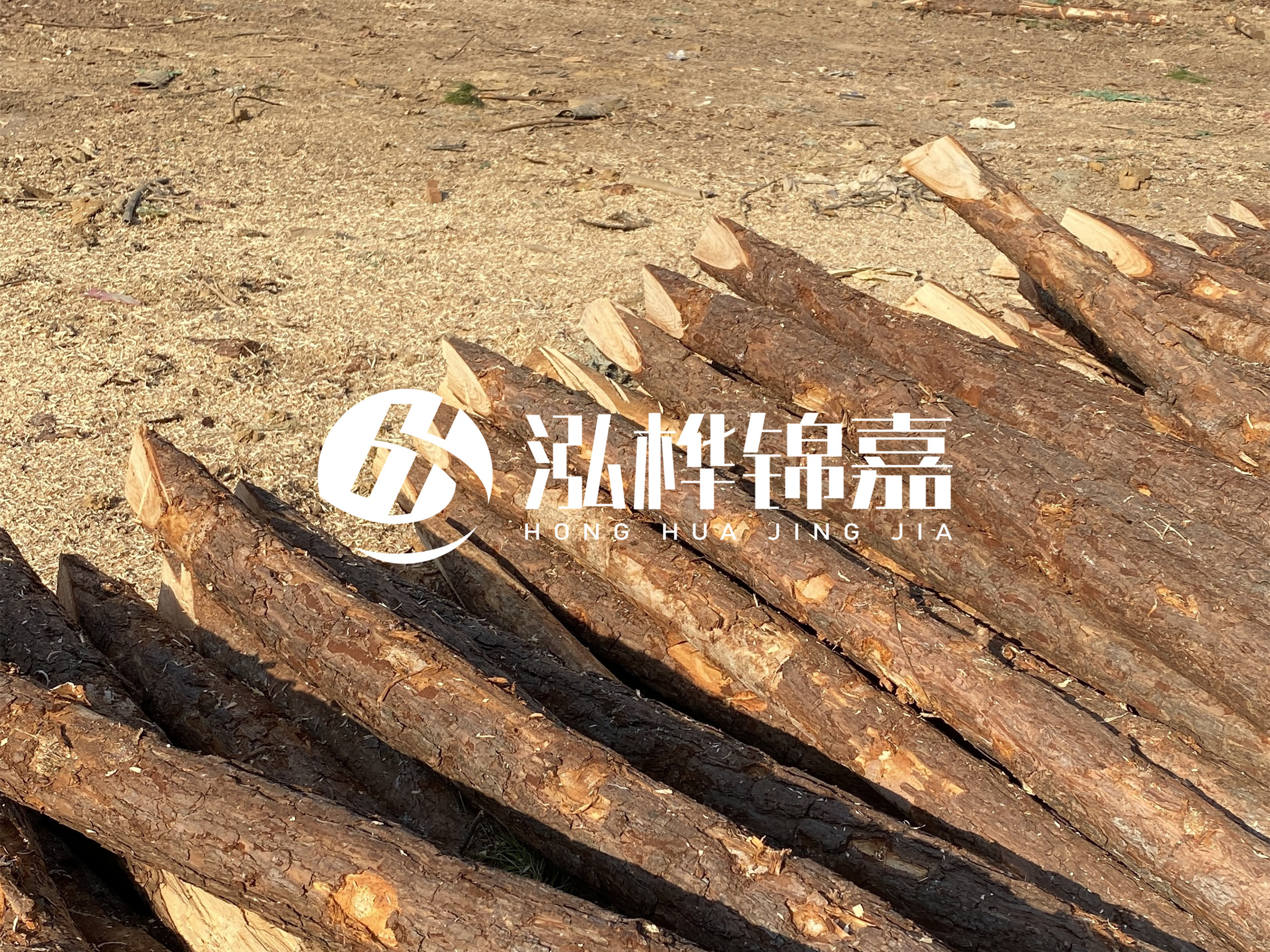 松木樁施工隊(duì)泓樺錦嘉 - 落葉松的直徑能達(dá)到20cm嗎？