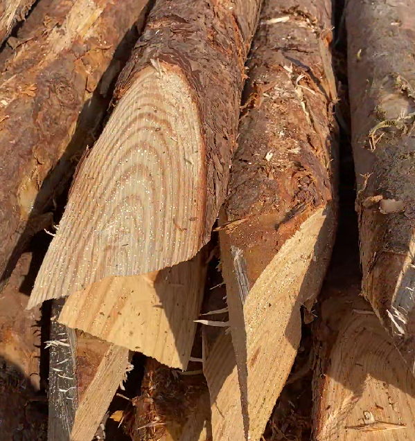 松木樁施工隊(duì)泓樺錦嘉 - 原木松木樁的最低起訂量是多少？