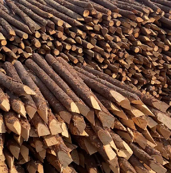 松木樁施工隊(duì)泓樺錦嘉 - 河道駁岸樁的檢測標(biāo)準(zhǔn)是什么？