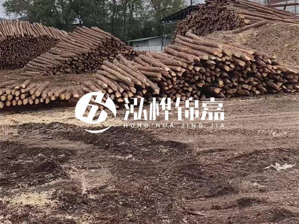 松木樁施工隊(duì)泓樺錦嘉-河道駁岸樁選擇松木還是水泥材質(zhì)更合適？