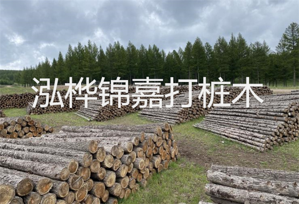 預(yù)制松木樁施工工藝：優(yōu)質(zhì)材料，高效快速，堅(jiān)固耐用